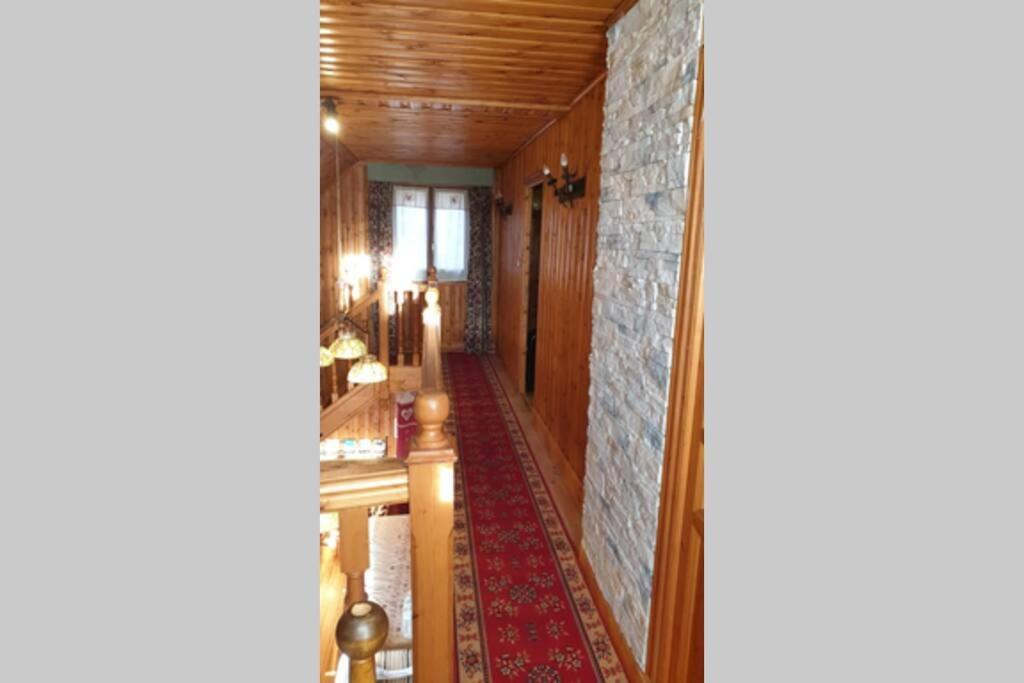 Authentique Chalet Vue Sur Le Lac Et Les Pistes Besse-et-Saint-Anastaise Kültér fotó